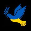 Black Peace Dove